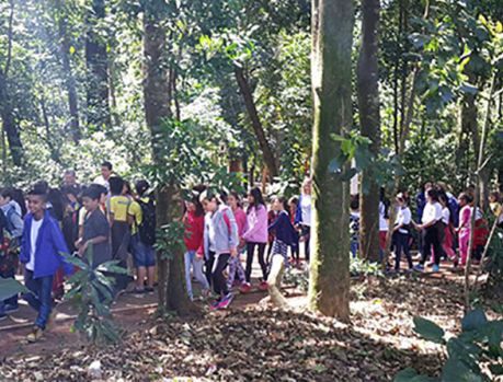 Abraço Ambiental de Umuarama será virtual outra vez... Abraço Ambiental de Umuarama será virtual outra vez...