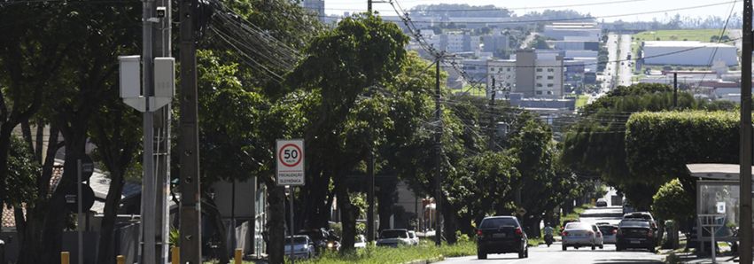UMUARAMA CUIDA BEM DO VERDE 