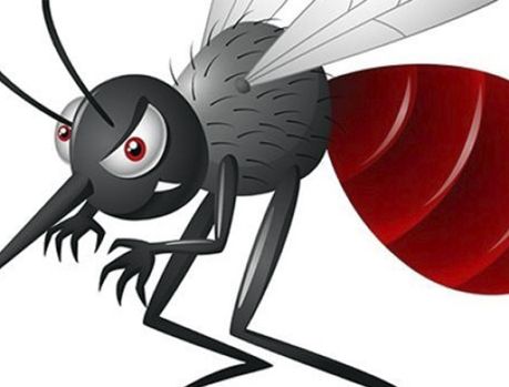 Os pernilongos voltaram ferozes! Proteja-se usando essências!!! Os pernilongos voltaram ferozes! Proteja-se usando essências!!!