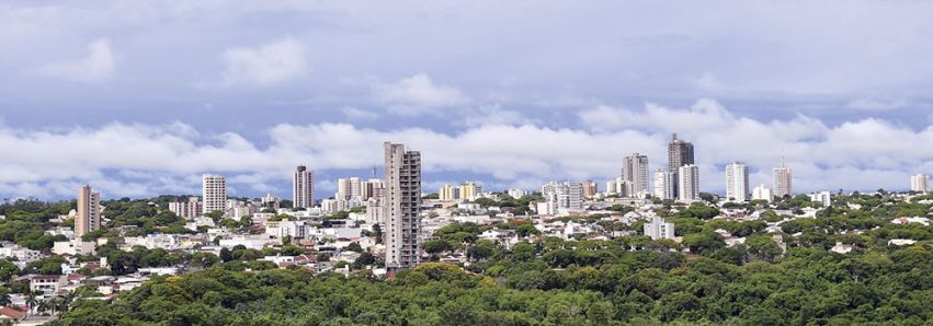 SEJA ÚTIL: PLANTE ÁRVORES!!! 