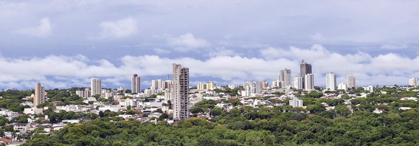 SEJA ÚTIL: PLANTE ÁRVORES!!! 