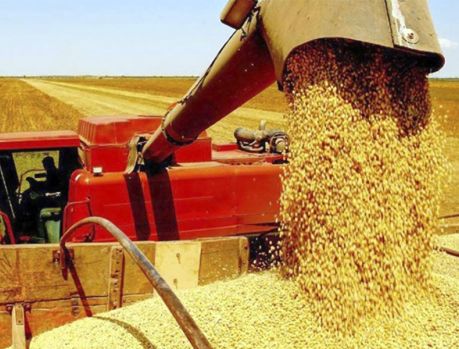 Paraná colhe a maior safra de soja da história Paraná colhe a maior safra de soja da história