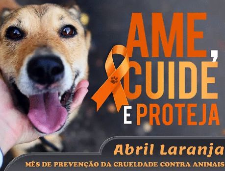 População deve denunciar casos de crueldade contra animais!!! População deve denunciar casos de crueldade contra animais!!!