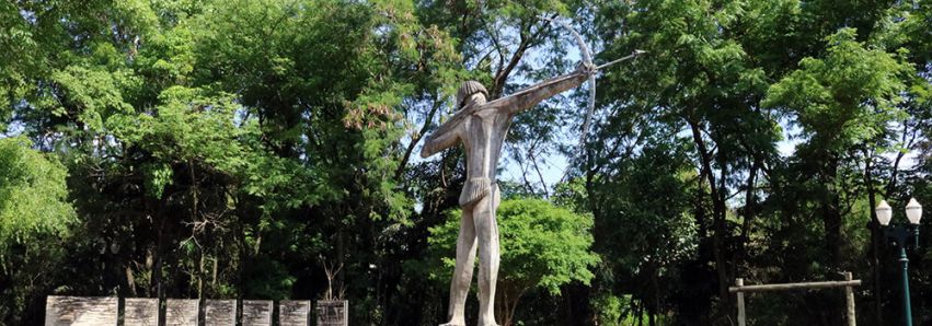 Até que enfim vão cuidar do bosque!