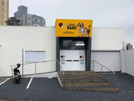 A SALVAÇÃO DAS VIDAS DOS PETS ABANDONADOS A SALVAÇÃO DAS VIDAS DOS PETS ABANDONADOS