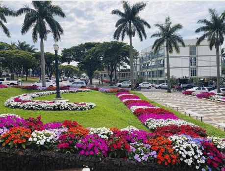 UMUARAMA MAIS COLORIDA COM 18 MIL FLORES... UMUARAMA MAIS COLORIDA COM 18 MIL FLORES...