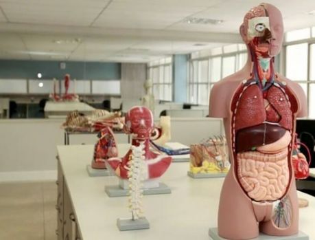 Curso de Medicina já é uma realidade na vizinha Campo Mourão Curso de Medicina já é uma realidade na vizinha Campo Mourão