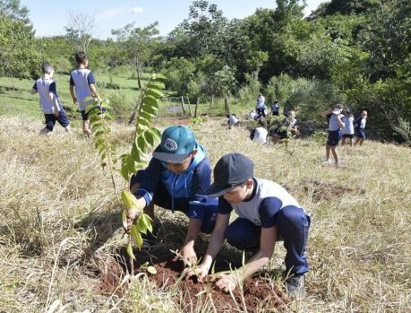 ALUNOS ADVENTISTAS DÃO BELA LIÇÃO DE ECOLOGIA ALUNOS ADVENTISTAS DÃO BELA LIÇÃO DE ECOLOGIA