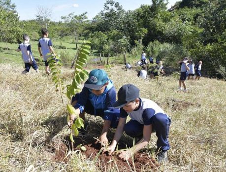 ALUNOS ADVENTISTAS DÃO BELA LIÇÃO DE ECOLOGIA