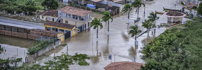 HUMANOS TEM CULPA NA TRAGÉDIA!