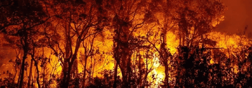 + DE 8 MIL INCÊNDIOS NO PARANÁ!