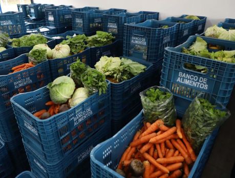 O PARANÁ COMBATE O DESPERDÍCIO DE ALIMENTOS O PARANÁ COMBATE O DESPERDÍCIO DE ALIMENTOS