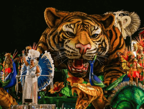 CARNAVAL DO RIO: O MAIOR SHOW DA TERRA! CARNAVAL DO RIO: O MAIOR SHOW DA TERRA!