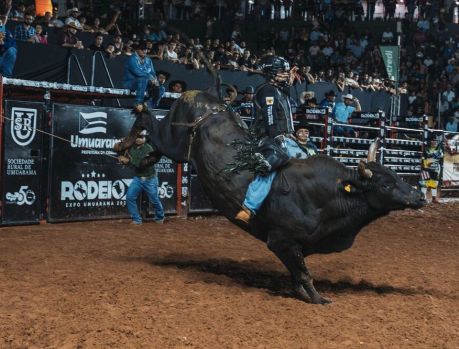 RODEIO SHOW NACIONAL DA EXPO UMUARAMA COM ENTRADA GRATUITA RODEIO SHOW NACIONAL DA EXPO UMUARAMA COM ENTRADA GRATUITA
