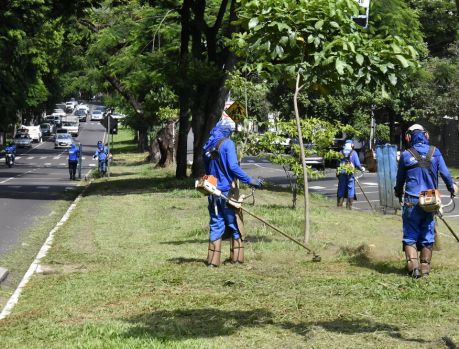 É TEMPO DE ROÇADA NOS GRAMADOS DO CENTRO DE UMUARAMA É TEMPO DE ROÇADA NOS GRAMADOS DO CENTRO DE UMUARAMA