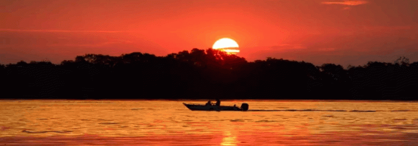 30 ANOS PROTEGENDO A NATUREZA