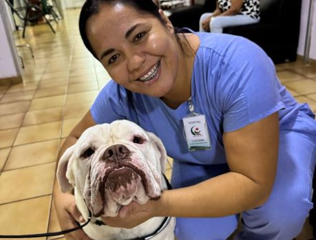 CÃO TERAPEUTA MITO LEVA AFETO E ALEGRIA AO HOSPITAL CEMIL CÃO TERAPEUTA MITO LEVA AFETO E ALEGRIA AO HOSPITAL CEMIL