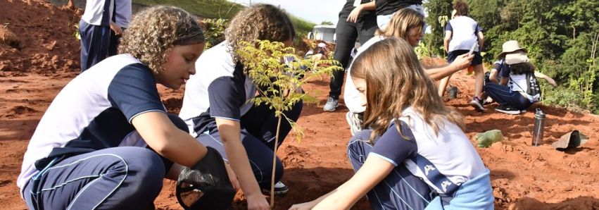 BELA LIÇÃO INFANTIL DE ECOLOGIA!