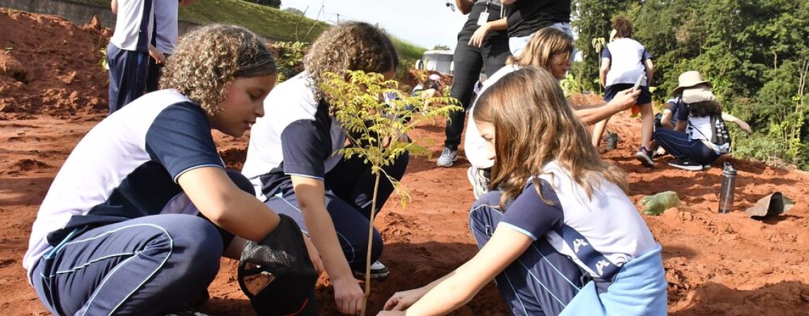 BELA LIÇÃO INFANTIL DE ECOLOGIA!