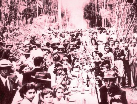 A PRIMEIRA FESTA NA CIDADE ACONTECEU NO MEIO DA FLORESTA! A PRIMEIRA FESTA NA CIDADE ACONTECEU NO MEIO DA FLORESTA!