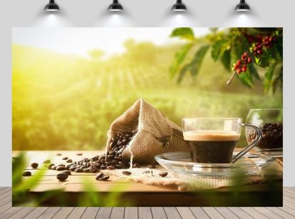 PREÇO DO CAFÉ FICOU MAIS BARATO 15% EM JUNHO! E VAI BAIXAR MAIS...