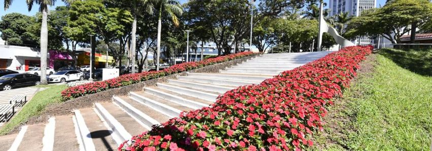 UMUARAMA É UMA DAS CIDADES MAIS FLORIDAS DO PARANÁ!