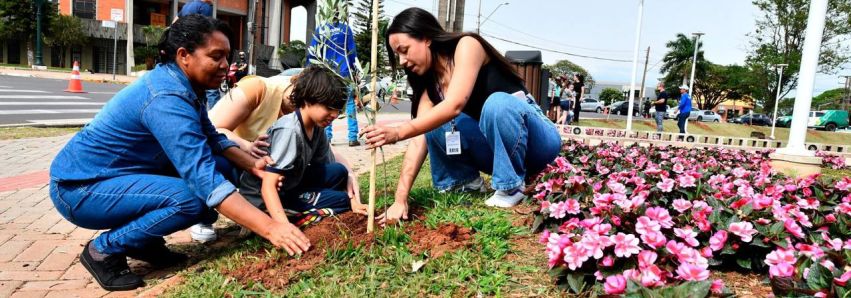 ECOLOGIA: PREFEITURA RELANÇA O PROJETO MAIS SOMBRA ECOLOGIA: PREFEITURA RELANÇA O PROJETO MAIS SOMBRA