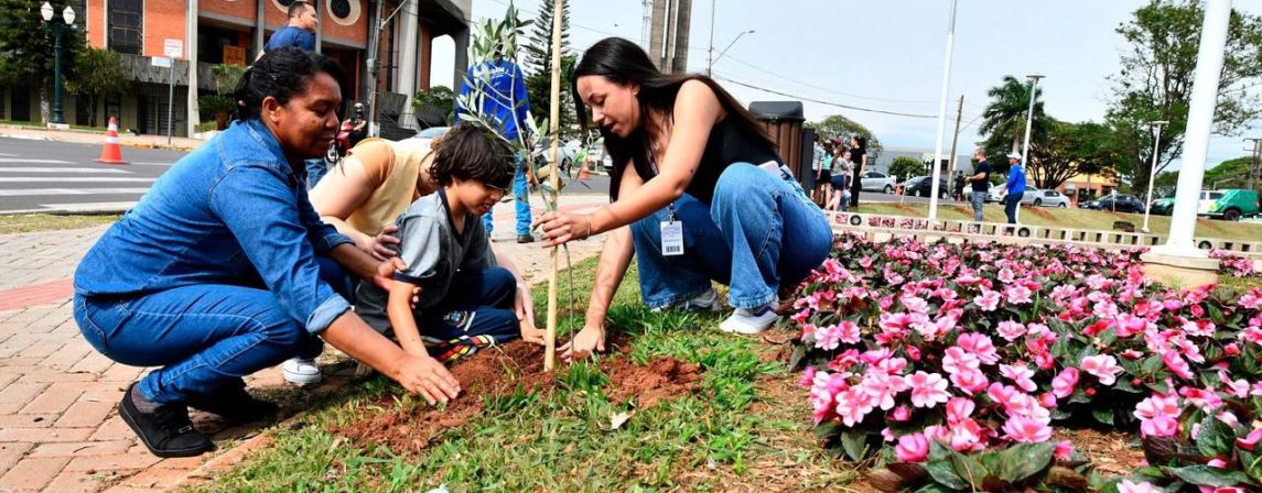ECOLOGIA: PREFEITURA RELANÇA O PROJETO MAIS SOMBRA