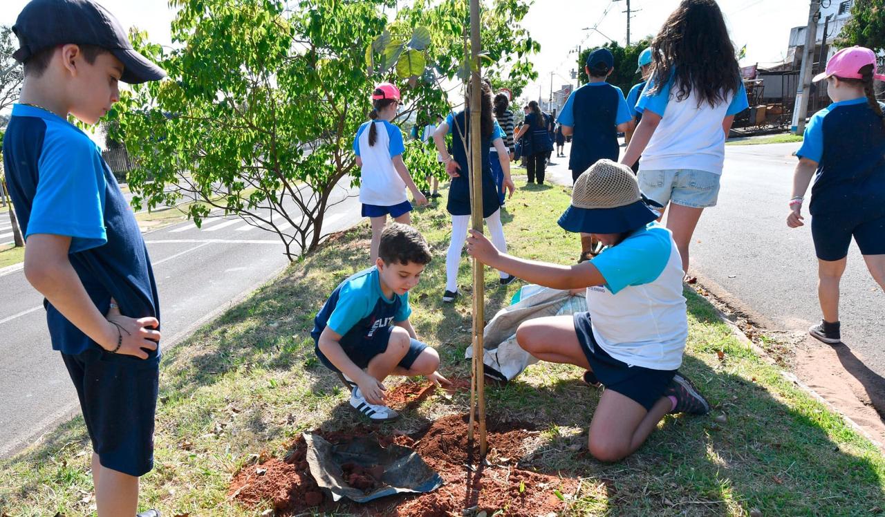 MAIS SOMBRA: UMUARAMA GANHA + DE 2 MIL NOVAS ÁRVORES