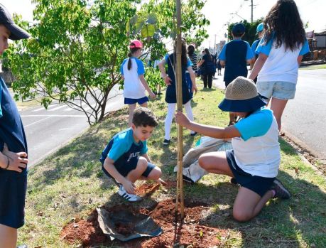 MAIS SOMBRA: UMUARAMA GANHA + DE 2 MIL NOVAS ÁRVORES