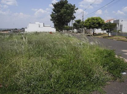 A cidade de Umuarama está dominada pelos matagais!!!