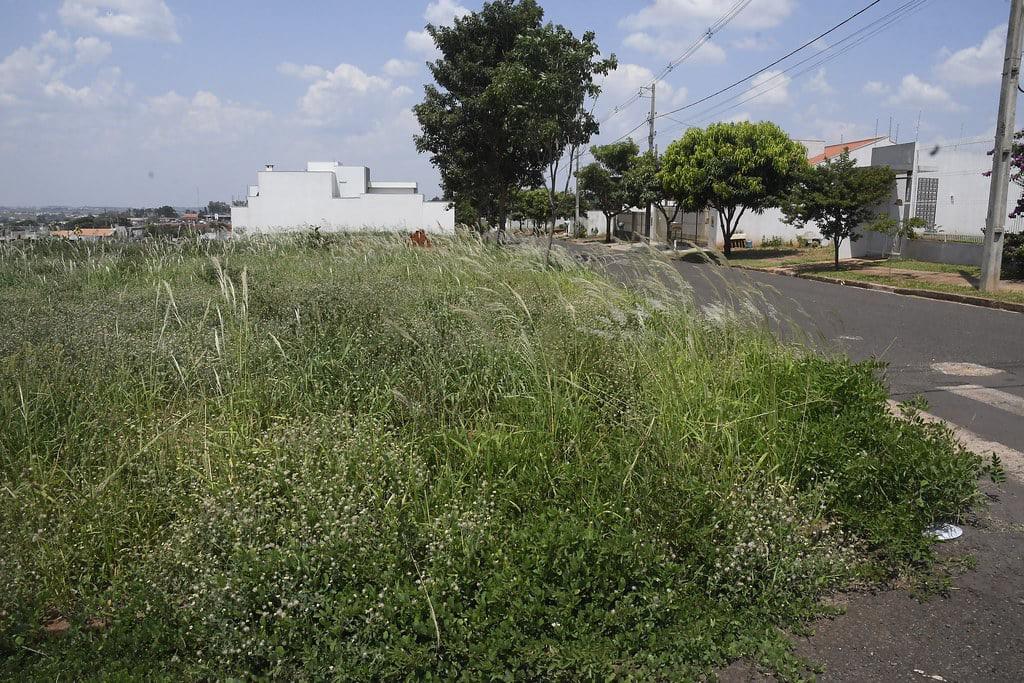 A cidade de Umuarama está dominada pelos matagais!!!