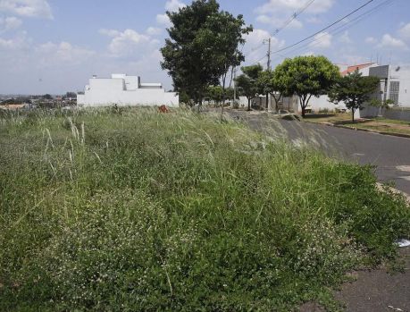 A cidade de Umuarama está dominada pelos matagais!!!
