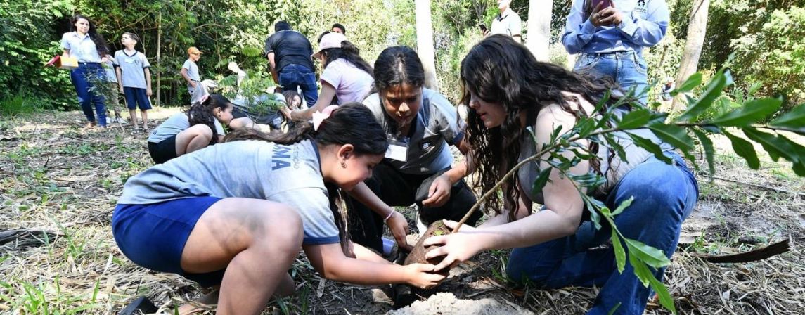 Para cada criança nascida, Umuarama plantará uma árvore!