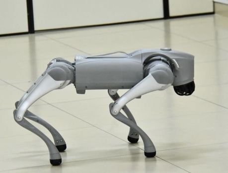 Technopark: ‘Cão-robô’ fortalece ensino e inovação tecnológica 