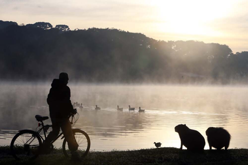 Alerta: O frio aumenta o risco de doenças respiratórias!