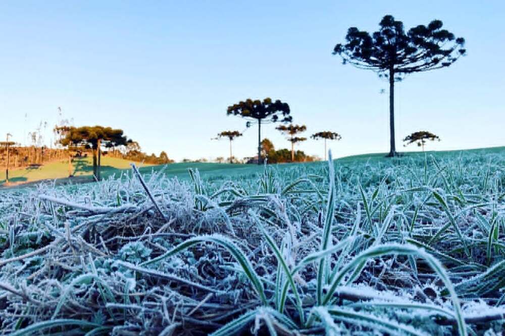 O inverno será gelaaado em todo o Paraná: frio intenso!