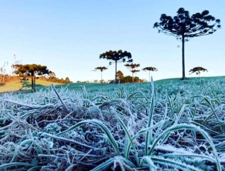 O inverno será gelaaado em todo o Paraná: frio intenso!