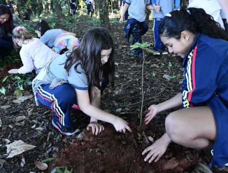 Umuarama terá junho com muitas ações do Meio Ambiente