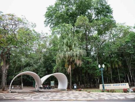 Hoje Umuarama é a 7ª cidade mais verde do Brasil!!!