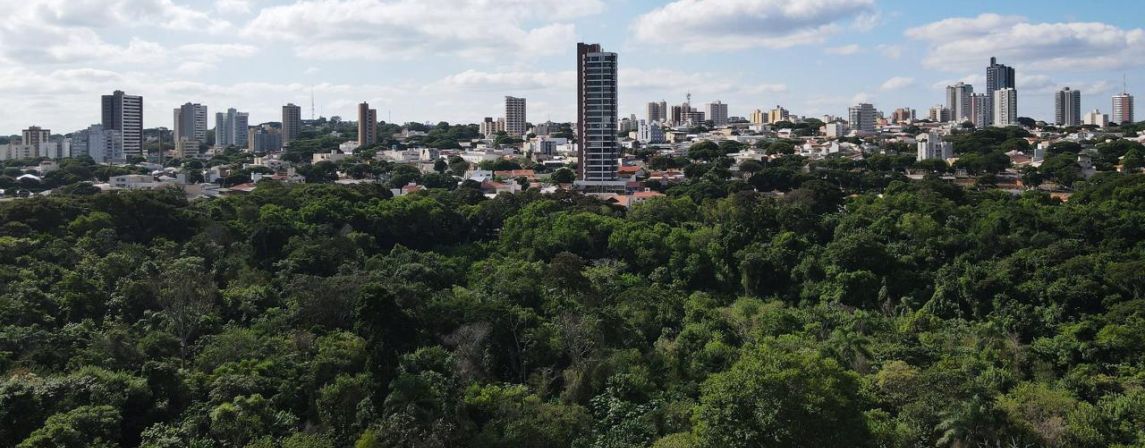 O melhor ar condicionado é o da Natureza! Preservem as árvores!!!