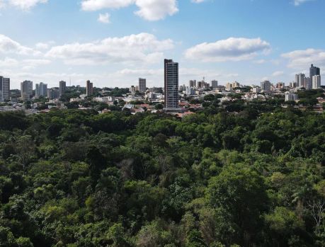 O melhor ar condicionado é o da Natureza! Preservem as árvores!!!