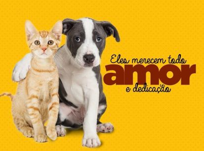 Campanha Patas Solidárias: A SAAU precisa de ração para cães e gatos!!!