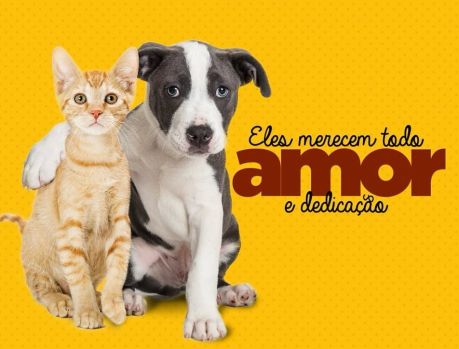 Campanha Patas Solidárias: A SAAU precisa de ração para cães e gatos!!!