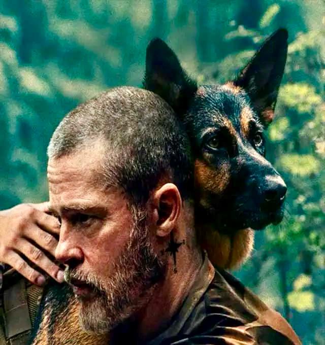 Filme estrelado por um dog e um ator famoso é sensacional!!!
