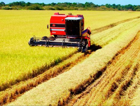 O Censo Agropecuário do IBGE está chegando ao final... O Censo Agropecuário do IBGE está chegando ao final...