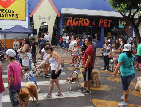 Um divertido passeio de domingo celebrando o amor aos animais!   