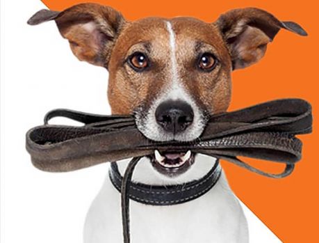 Domingo tem a esperada Cãominhada em Umuarama! Domingo tem a esperada Cãominhada em Umuarama!