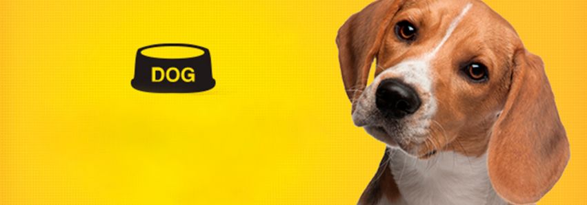 1º Encontro de Cães Multi Atacado
